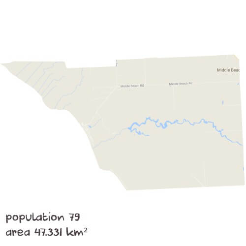 Physics Tutoring Near Me